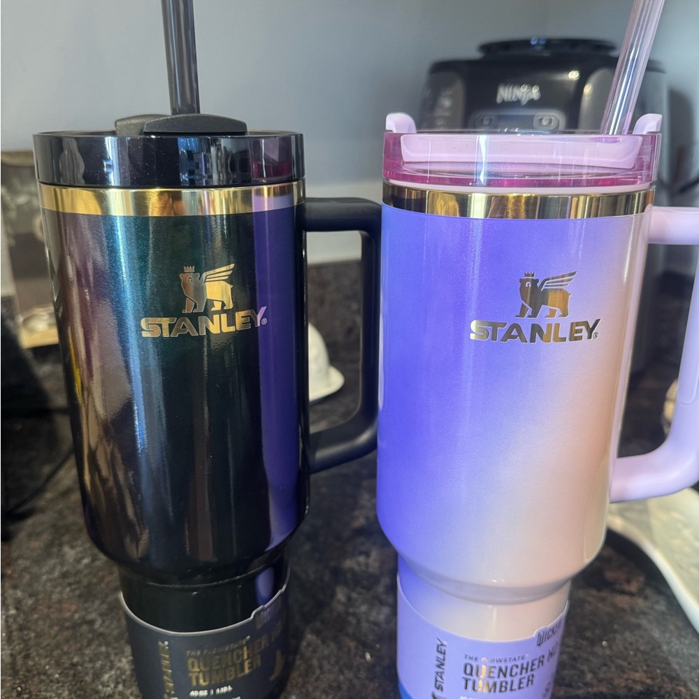 Stanley Wicked 40oz Tumbler Set